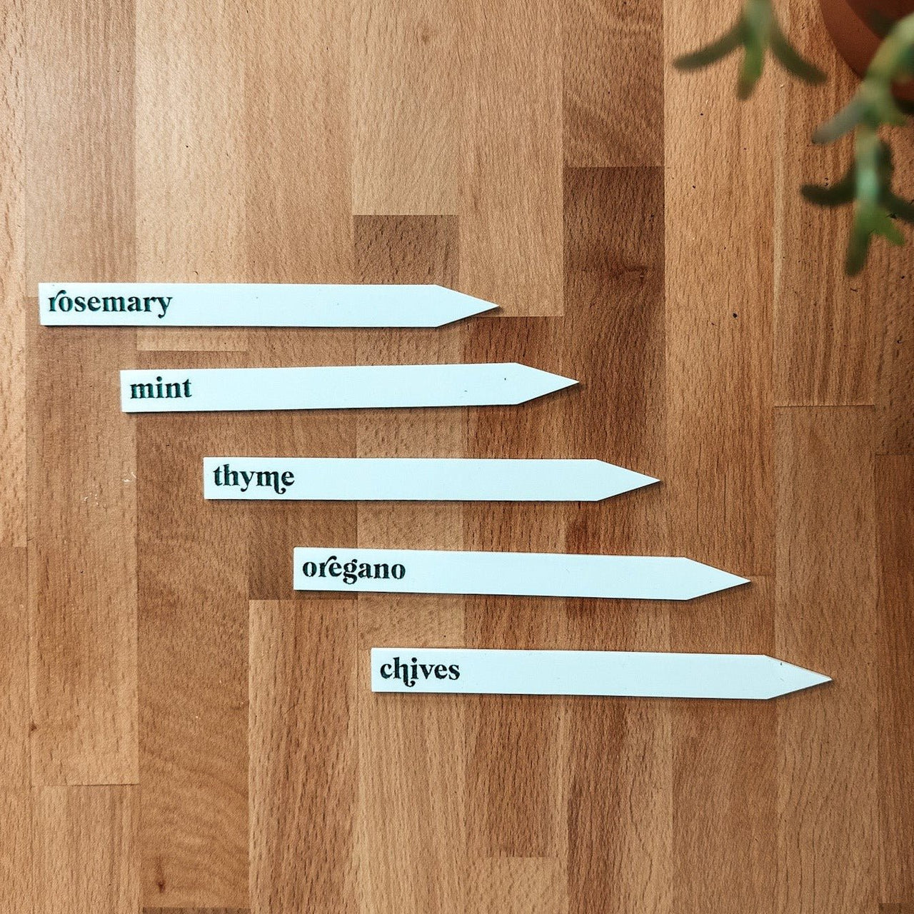 Acrylic Garden Plant Markers - Rich Design Co