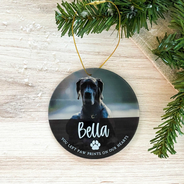 Pet Memorial Photo Ornament - Rich Design Co